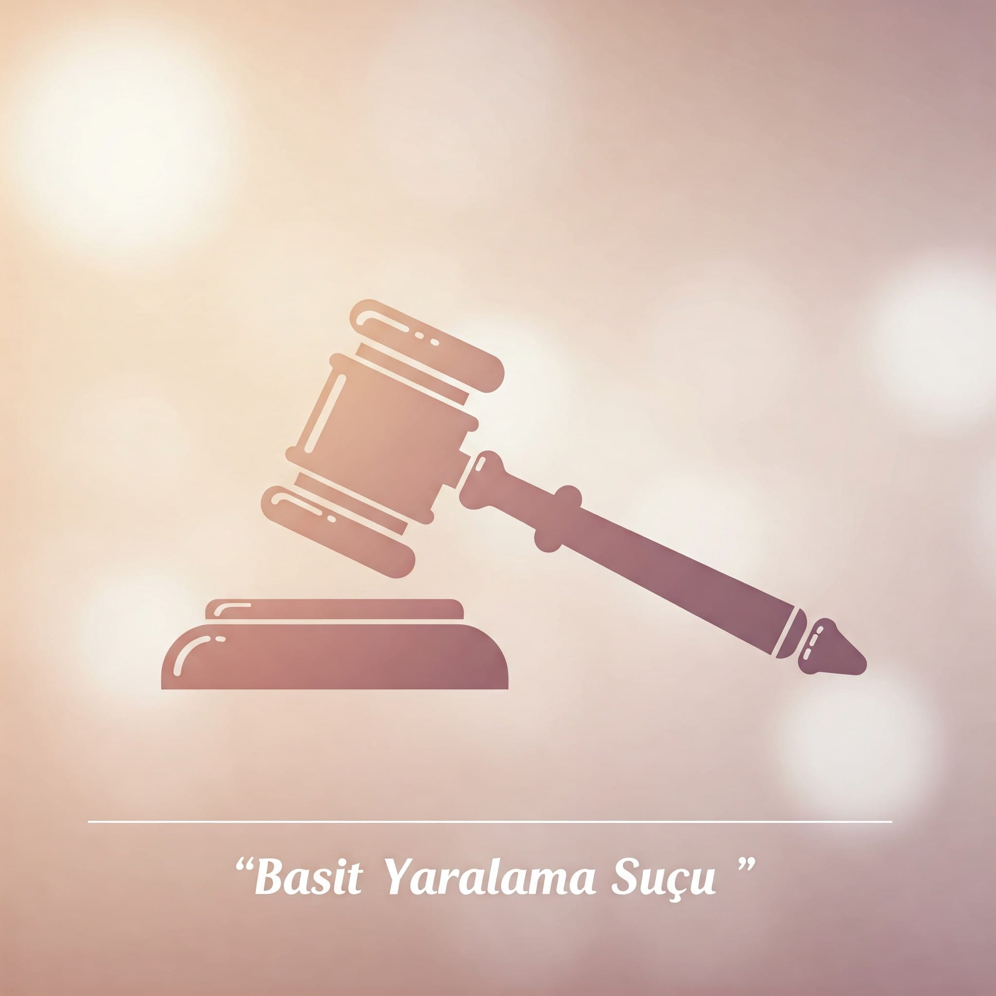 Van’da Basit Yaralama Suçu ve Ceza Davası:
